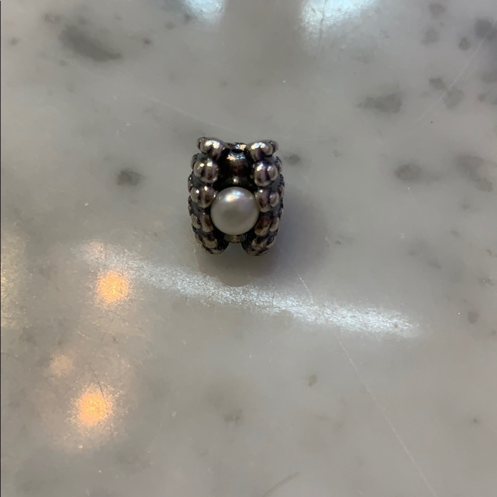 Seashell charm